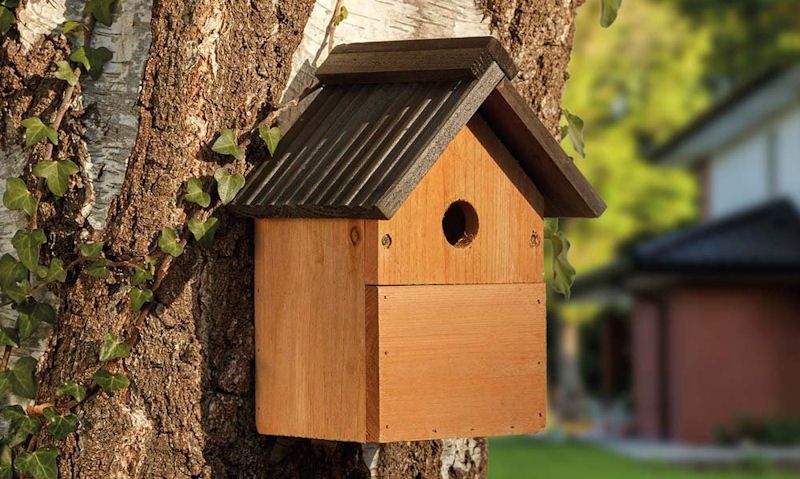 Traditional wooden bird box fixed to tree