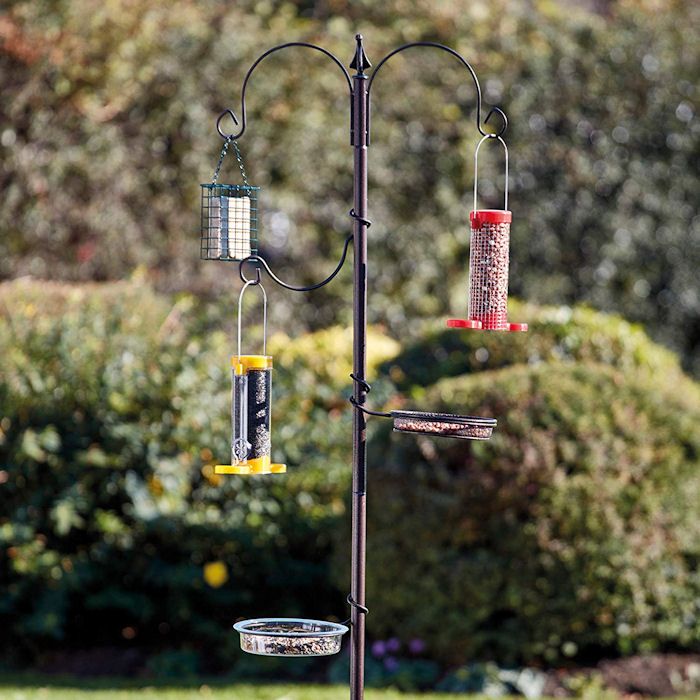 Bird feeding station in garden