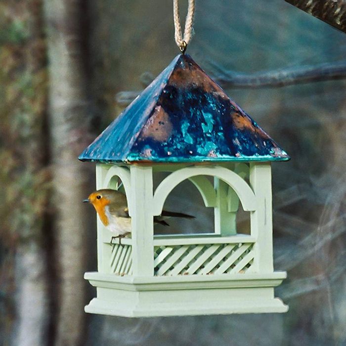 Robin looking out from hanging bird table