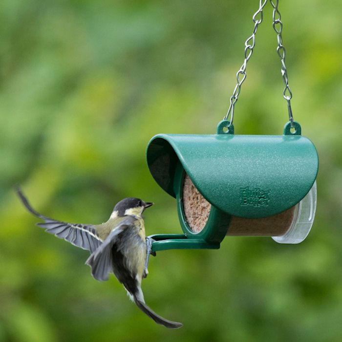 Coal Tit landing on peanut butter feeder perch