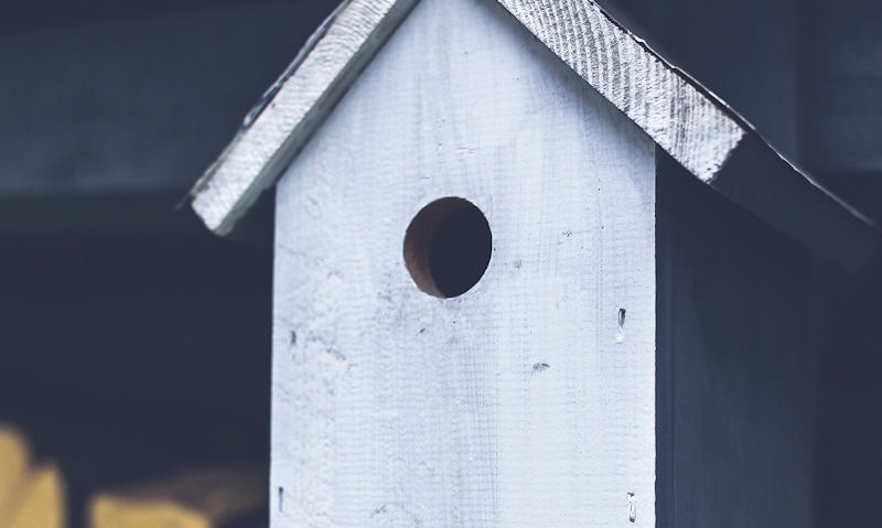 Painted wooden bird house in contrast with dark entrance hole