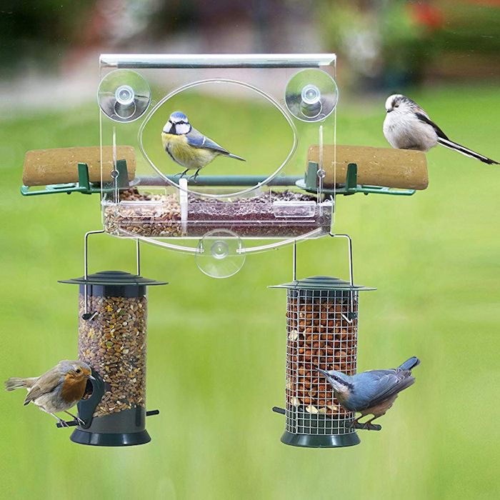 Robin, Blue Tit feeding out of window bird feeder