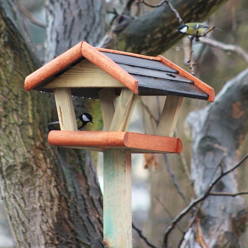 Coal Tit feeding under bird table on stand