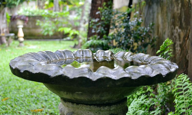 Stone pedestal bid bath in garden