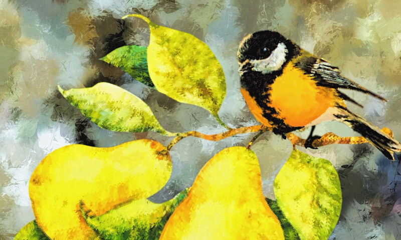 Tit perched on pear tree, watercolour theme