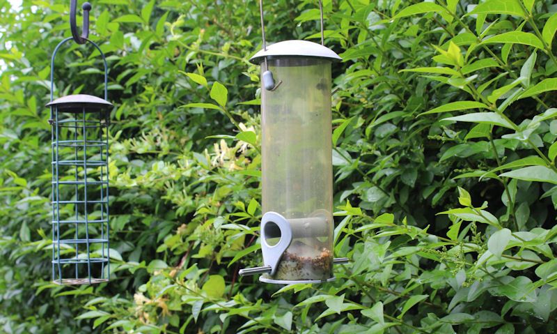 Seed, fat ball feeder hanging from bird station pole
