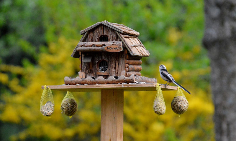 Do bird tables compliment garden