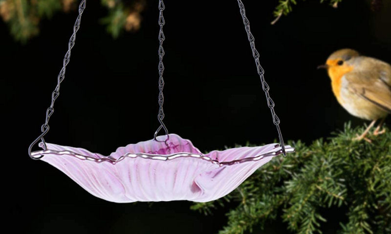 Hanging glass bird bath bowl while Robin is perched nearby