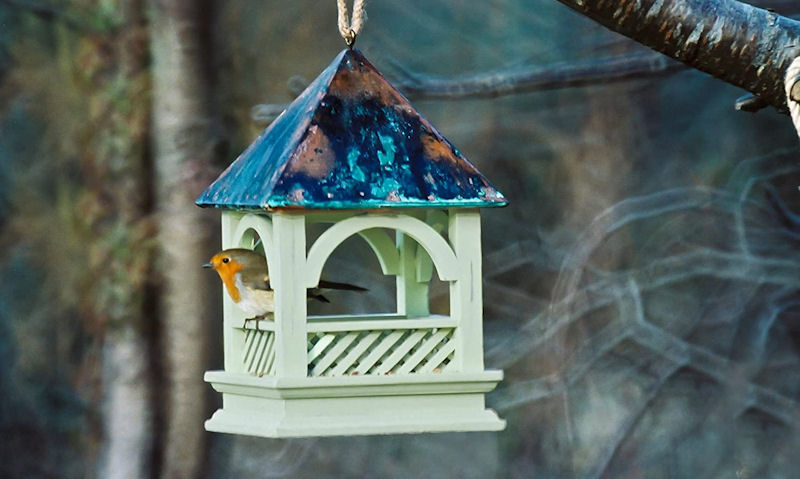 Robin perched on hanging bird table, facing out