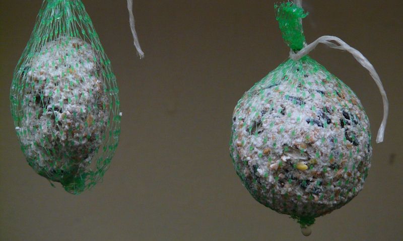 Fat balls hanging up in single-use plastic mesh netting