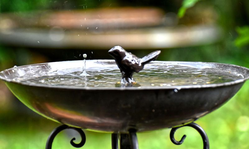 How to anchor a bird bath