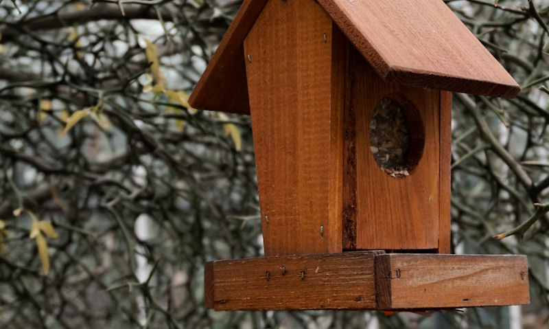 Wooden bird feeder looking worse for wear hanging off tree branch