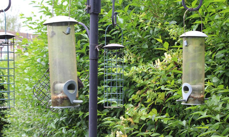 Dirty hanging bird feeders on feeding station