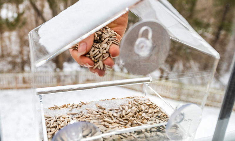 Person seen throwing seed mix into open window bird feeder tray