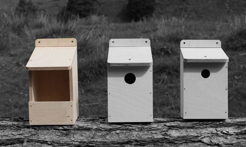 Robin nest box size