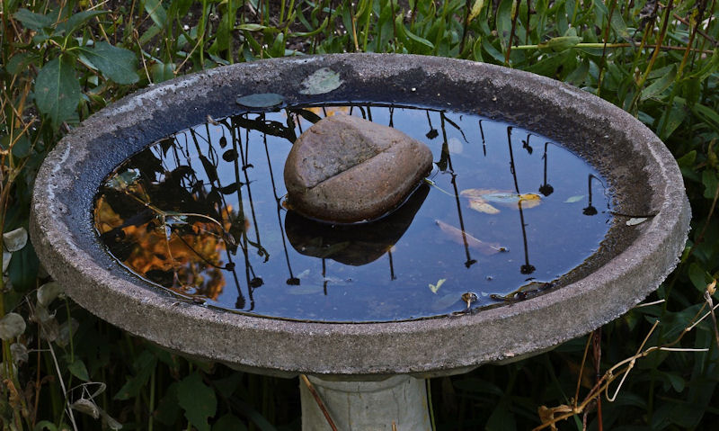 Stone bird bath with a rock in centre, submerged in water