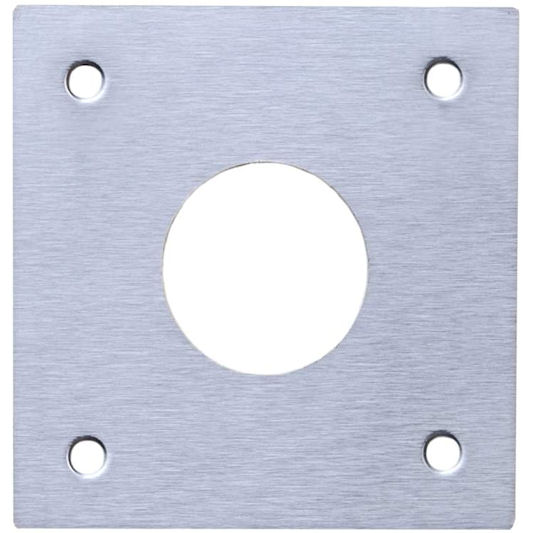 Simply Hardware 25mm Satin Stainless Steel Bird Box Plate