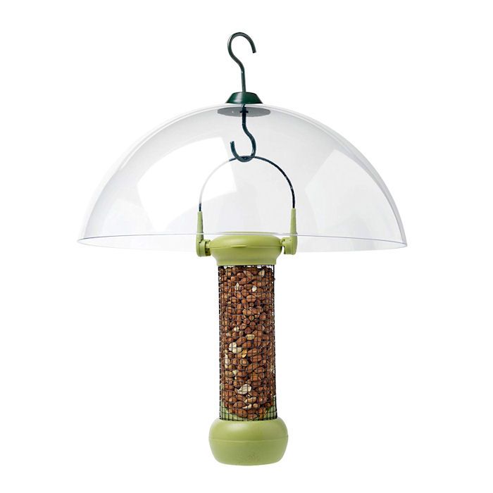 Petface clear dome covering seed feeder