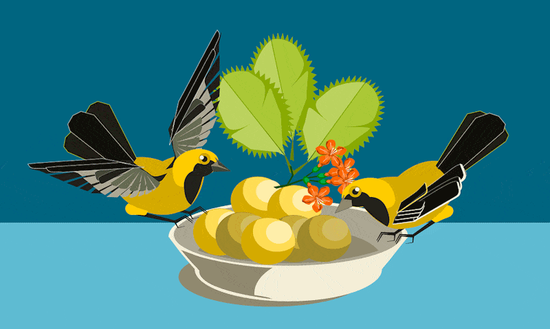 Illustration of birds perched on fruit bowl