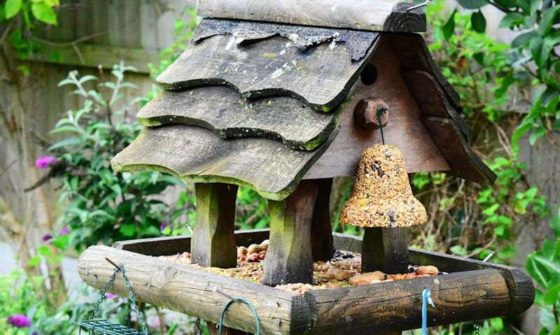 Weathered wooden bird table packed with bird seed, nut mixes