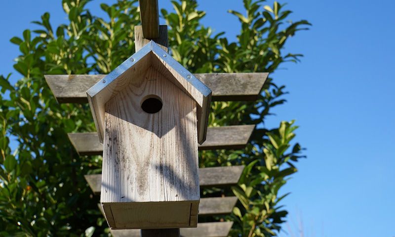 Bird box roof providing shade well fixed to tree