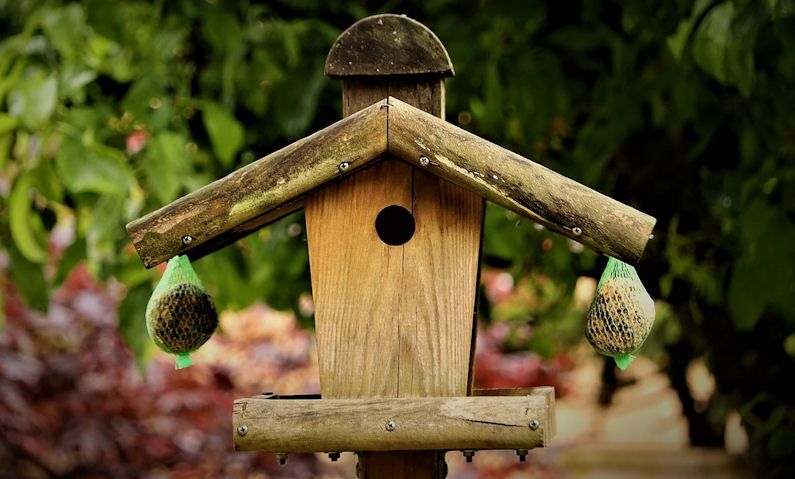 Weathered wooden bird table with netted hanging fat balls